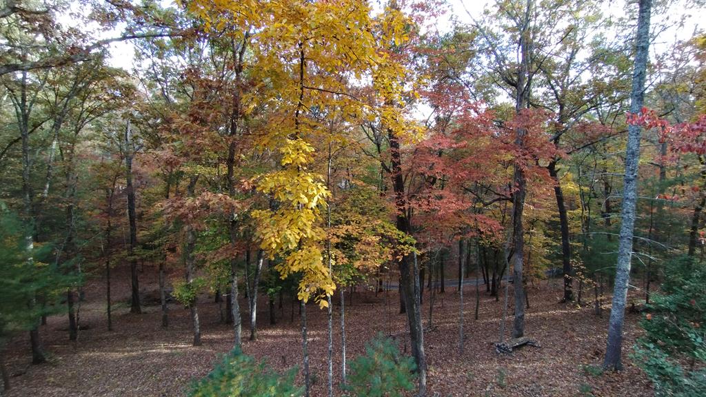 100 Fern Cove Lane Property Photo 33