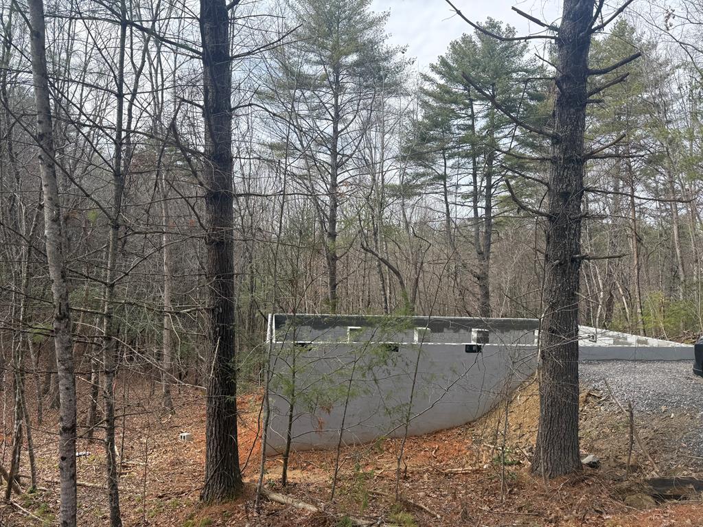 427 Martins Creek Ridge Rd. Property Photo 1