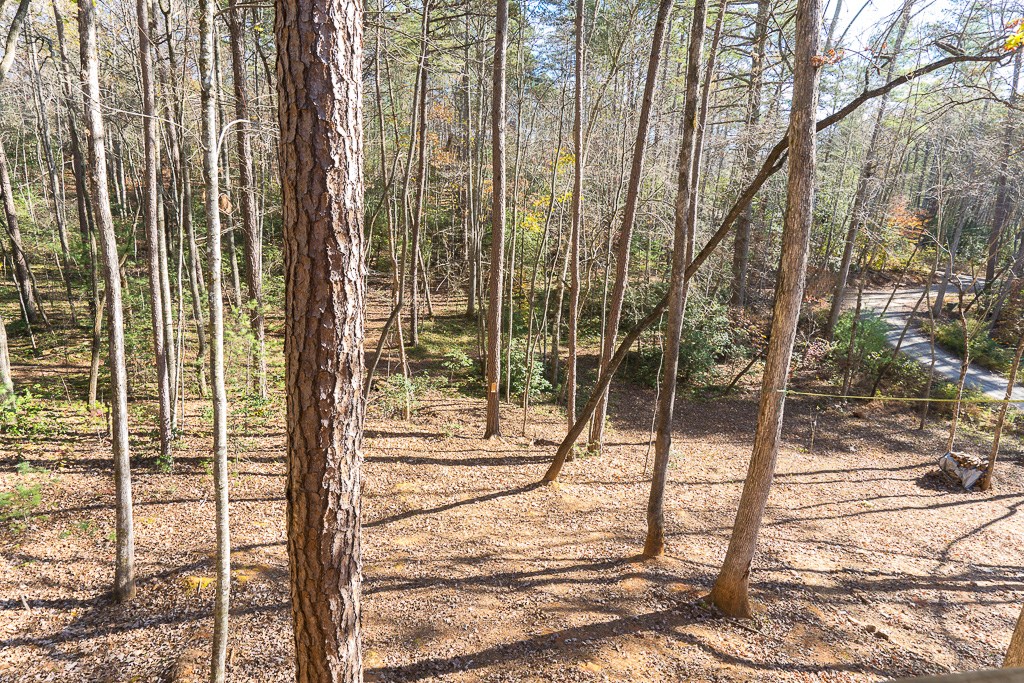 60 Deer Valley Ln Property Photo 26
