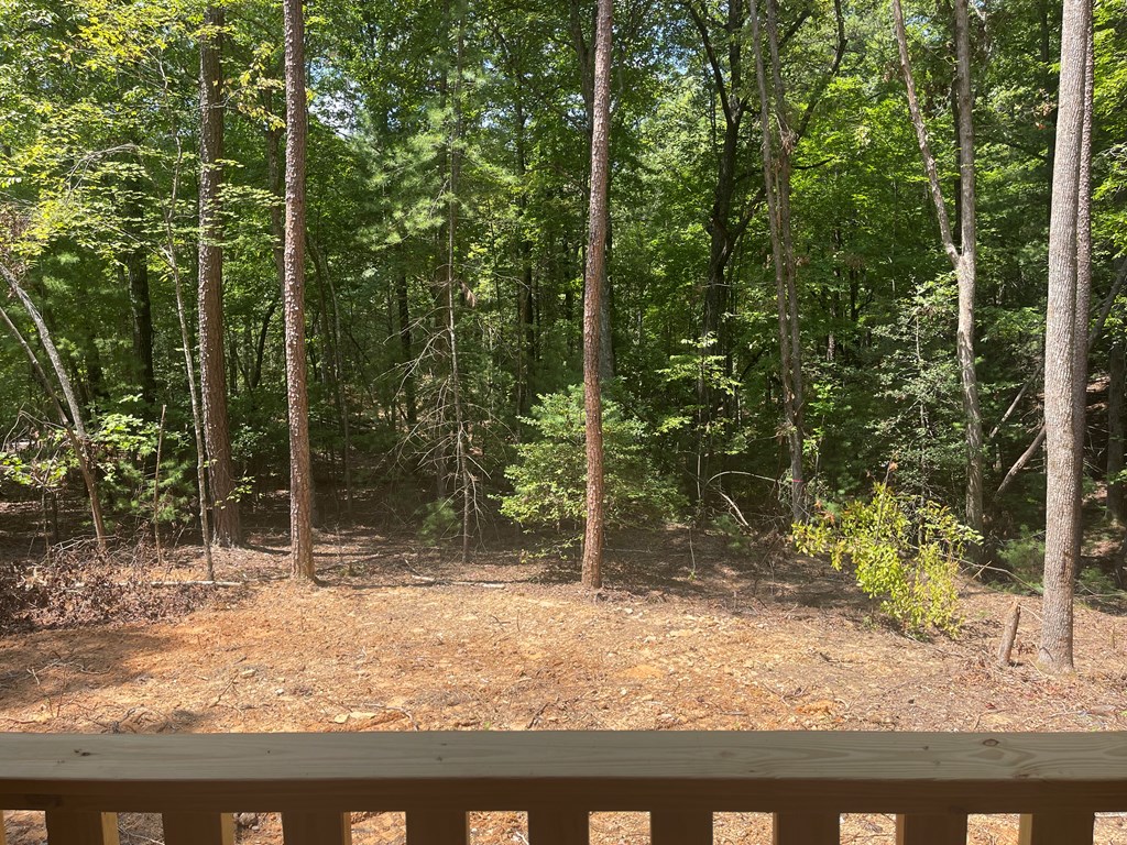 151 Martins Creek Ridge Rd Property Photo 19