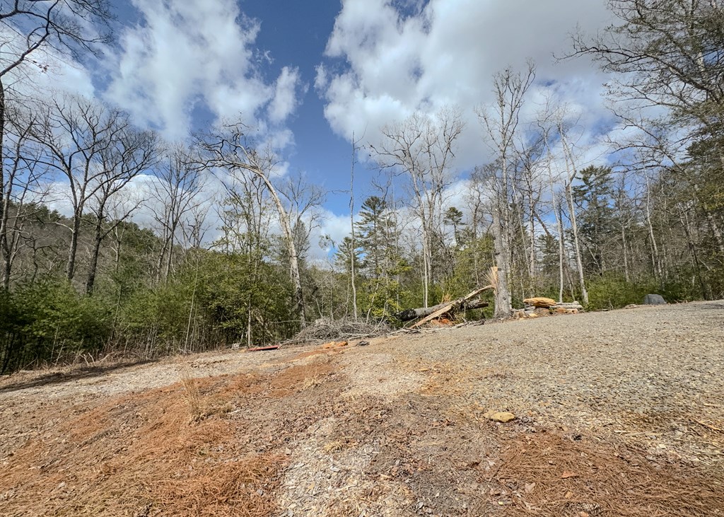 1925 Mcdonald Rd Property Photo 30
