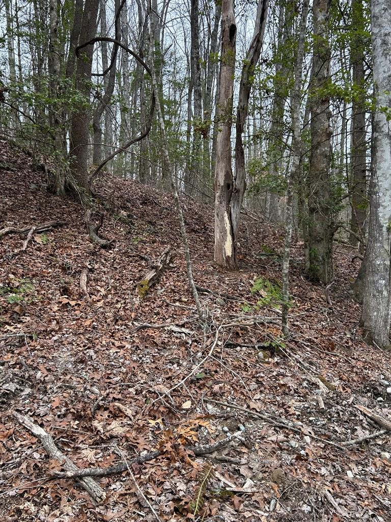Macon County Real Estate Listings Main Image