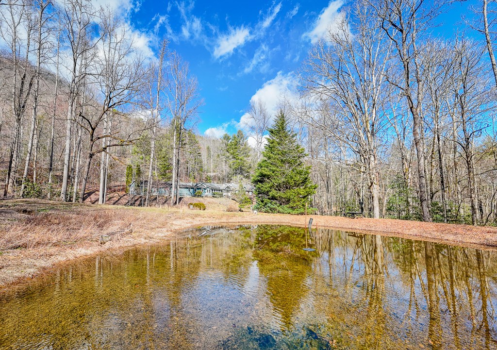 1283 Blue Boar Road Property Photo 24
