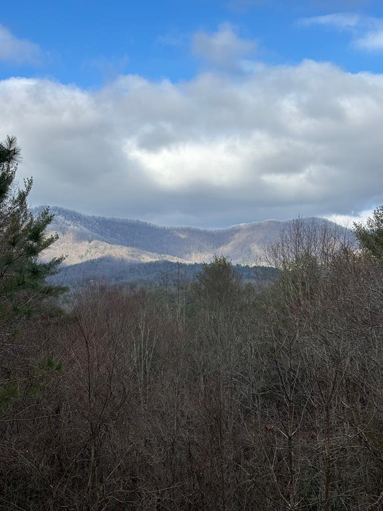 441 Golden Eagle Property Photo 93