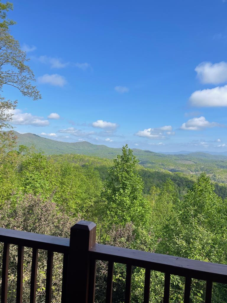 1013 Buck Ridge Drive Property Photo 7