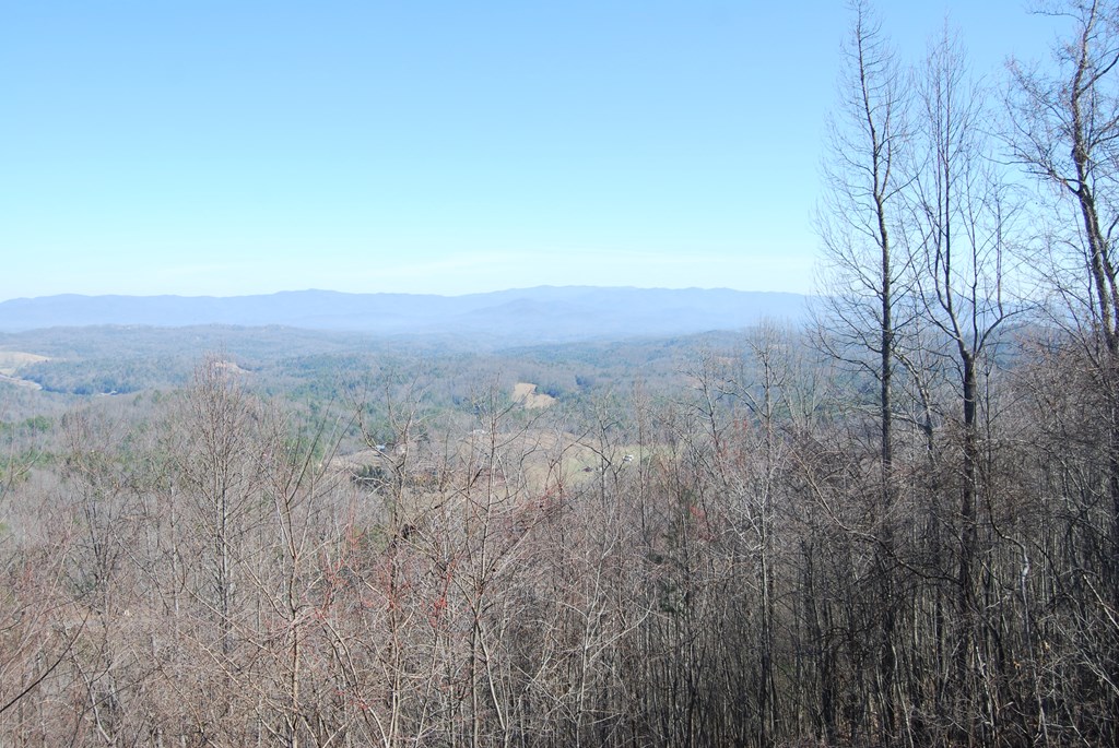 1013 Buck Ridge Drive Property Photo 12