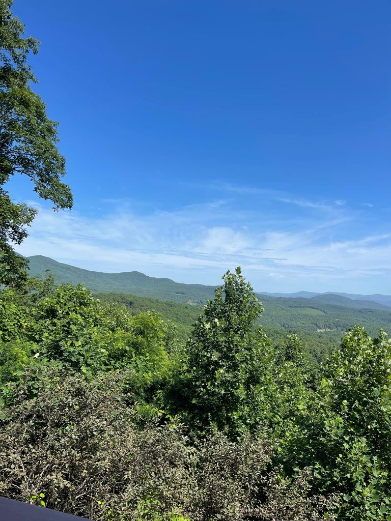 1013 Buck Ridge Drive Property Photo 42