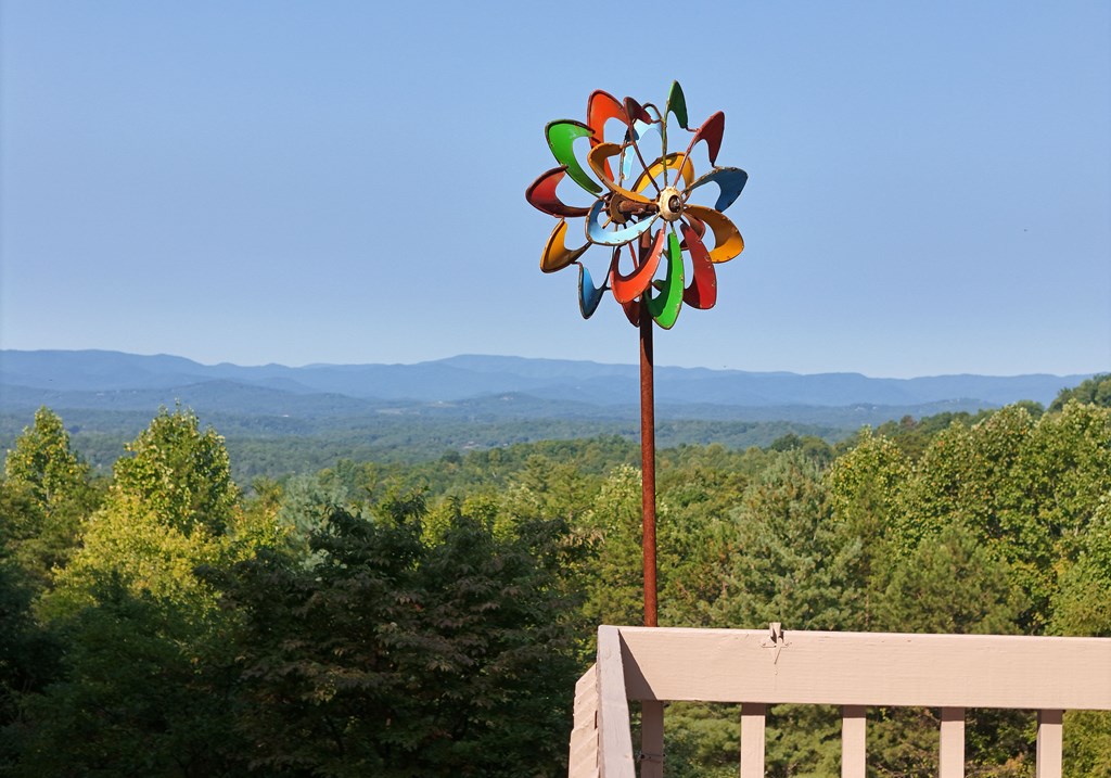 452 Blue Ridge Trails Property Photo 2