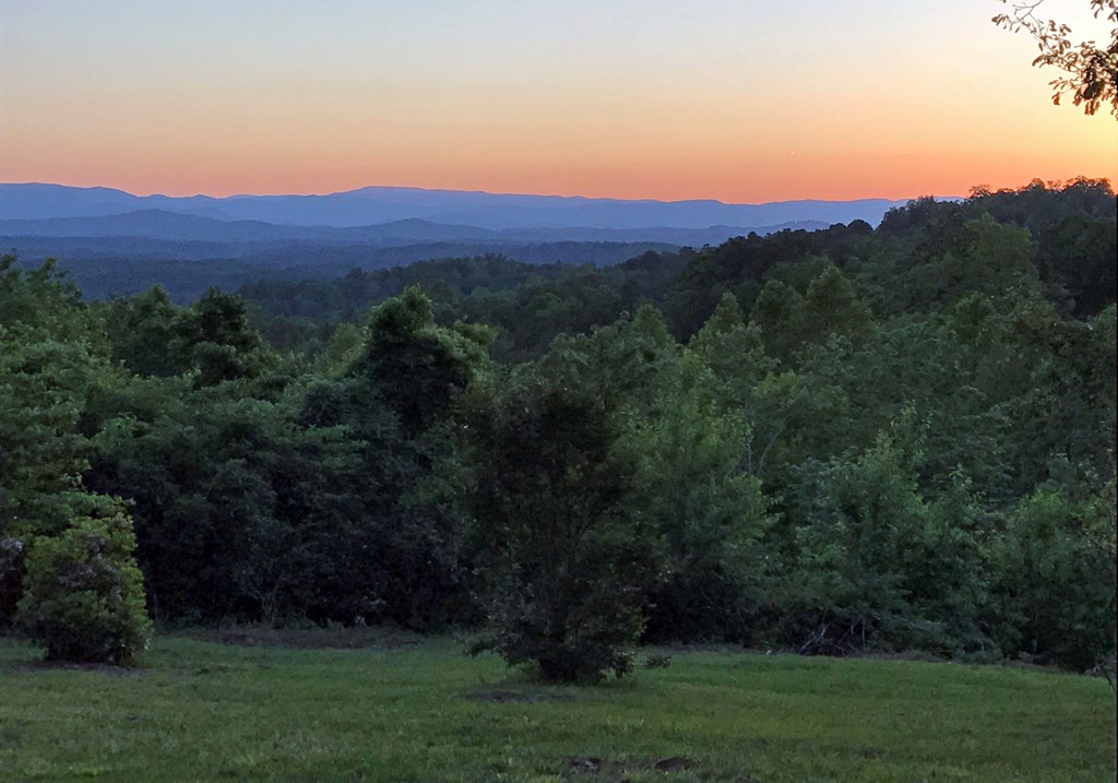 452 Blue Ridge Trails Property Photo 5