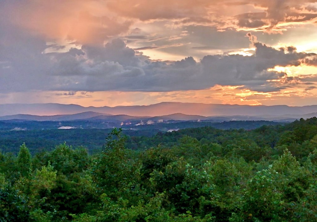 452 Blue Ridge Trails Property Photo 11