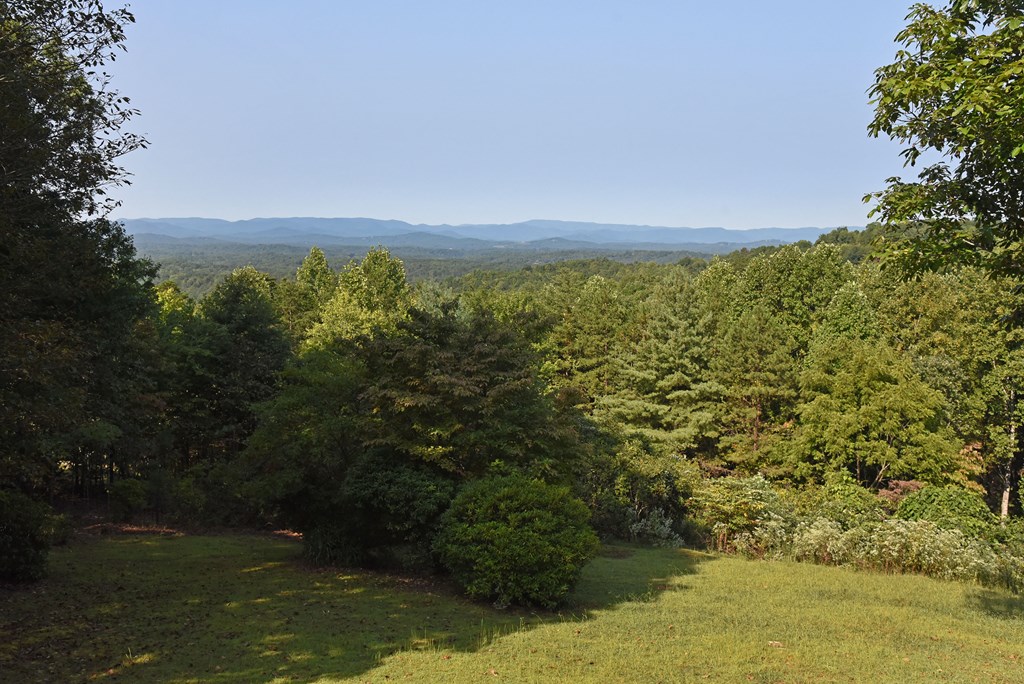 452 Blue Ridge Trails Property Photo 23