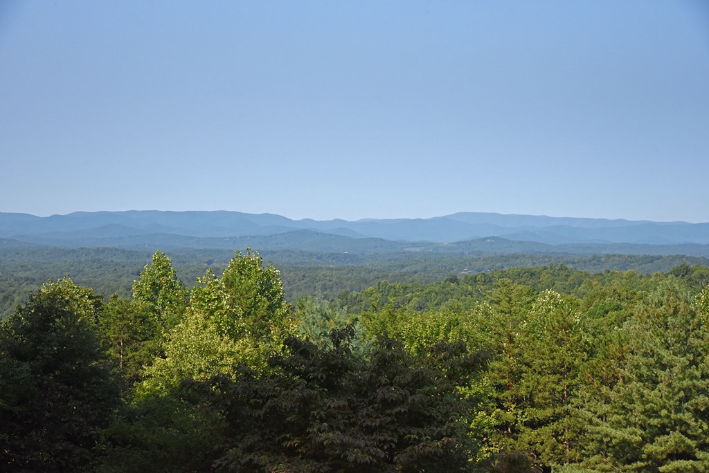 452 Blue Ridge Trails Property Photo 24