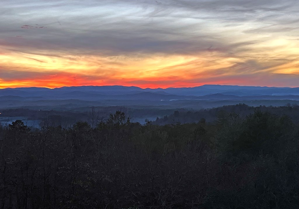 452 Blue Ridge Trails Property Photo 66