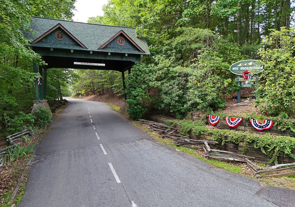 452 Blue Ridge Trails Property Photo 68