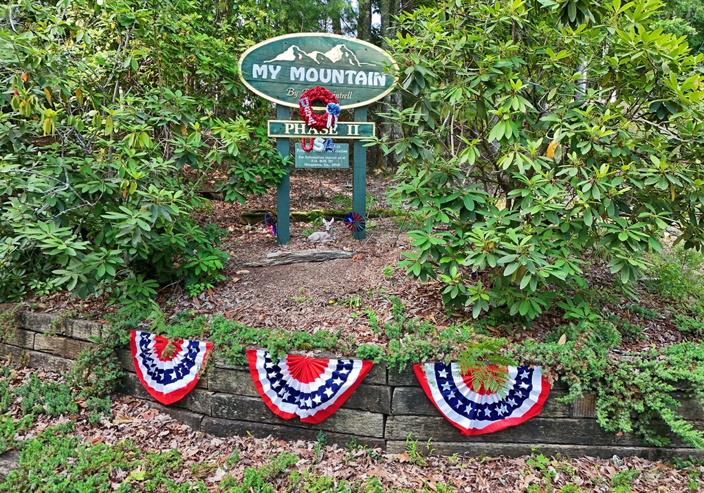 452 Blue Ridge Trails Property Photo 69