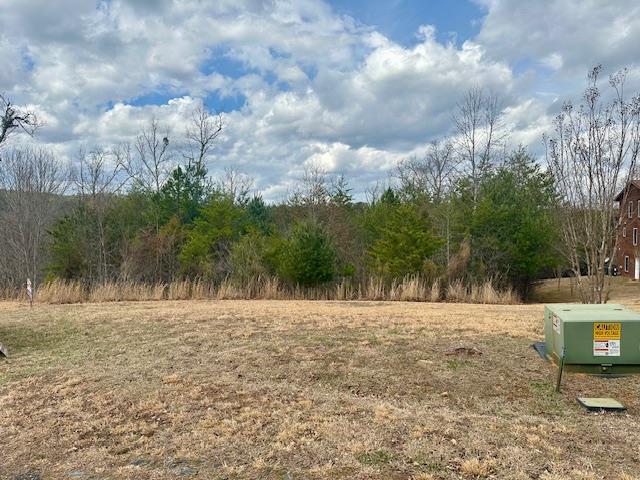 Lot 100 Pin Oak Ridge Property Photo