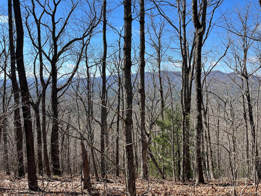 Tbd Treehouse Trail Property Photo