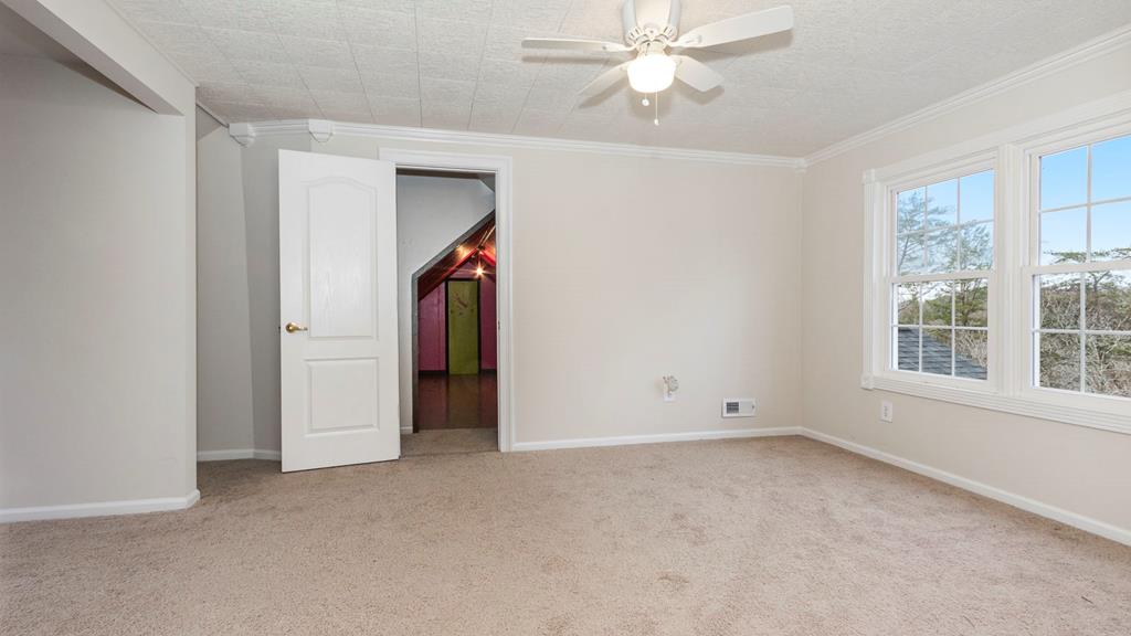 425 Sunrise St. Property Photo 46