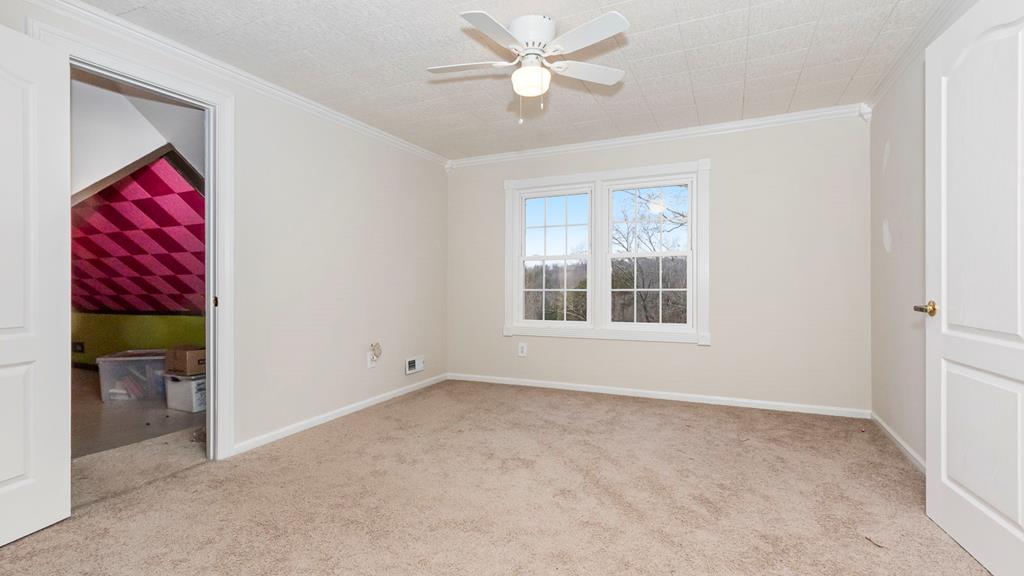 425 Sunrise St. Property Photo 47