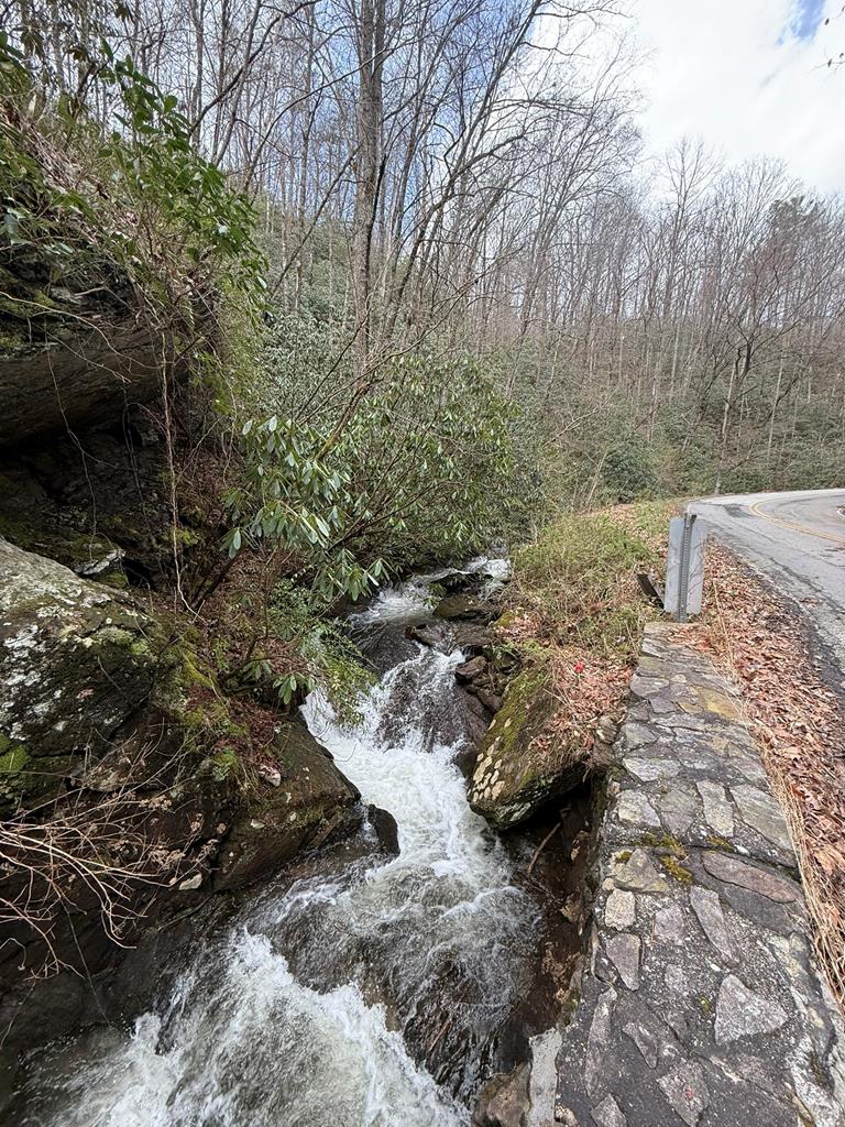 820 Beaver Creek Property Photo 5