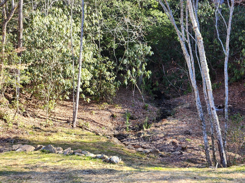 820 Beaver Creek Property Photo 27