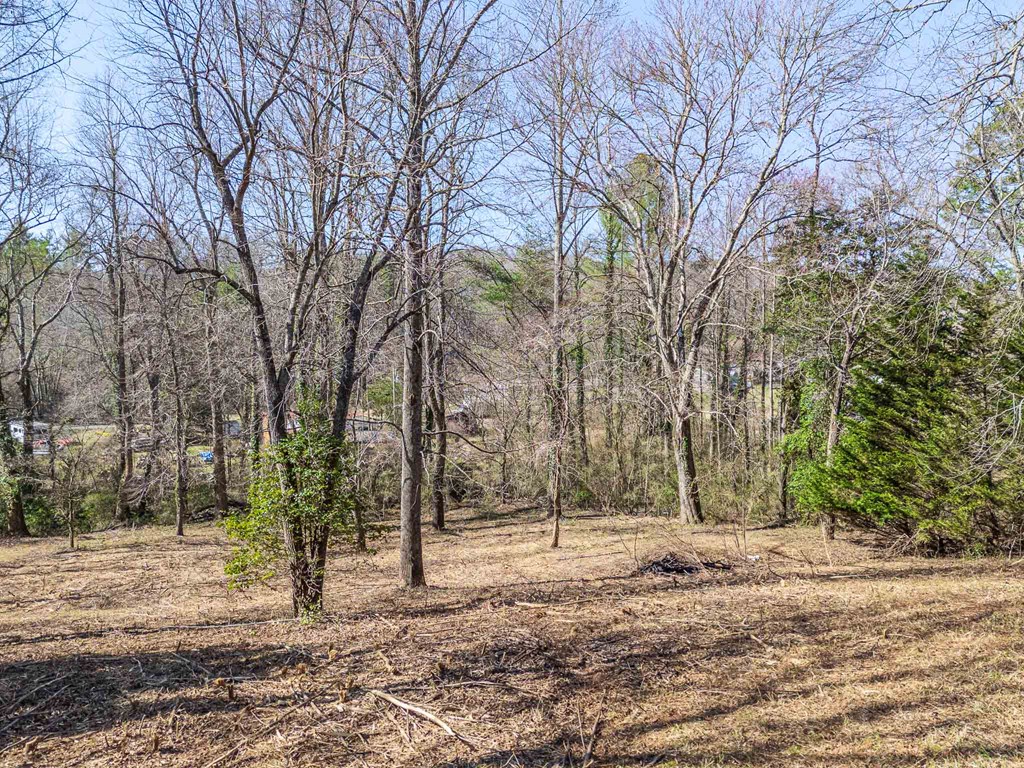221 Country Mountain Ridge Property Photo 33