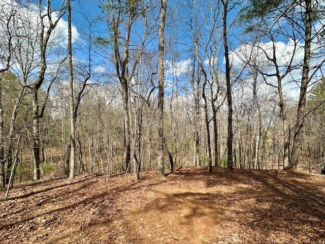 Lot 7 Whitleys Cove Property Photo
