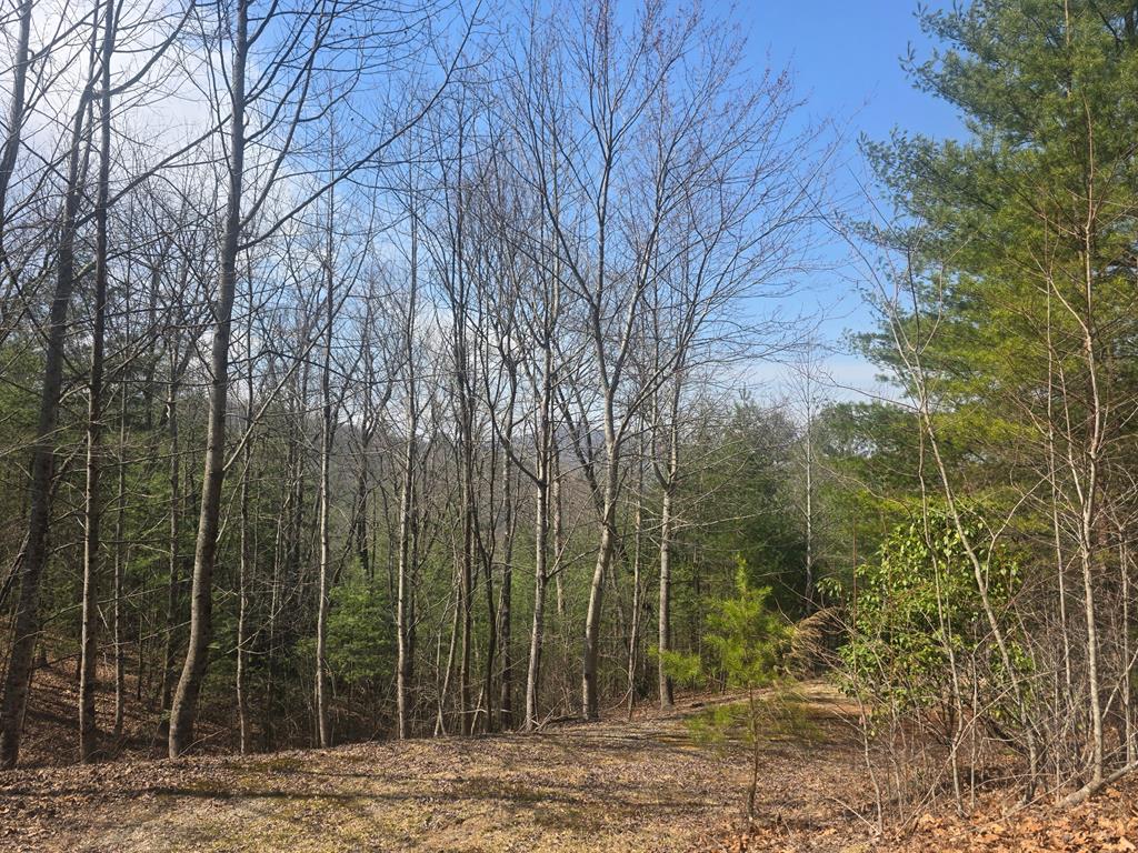 8 & 9 Up The Ridge Road Property Photo