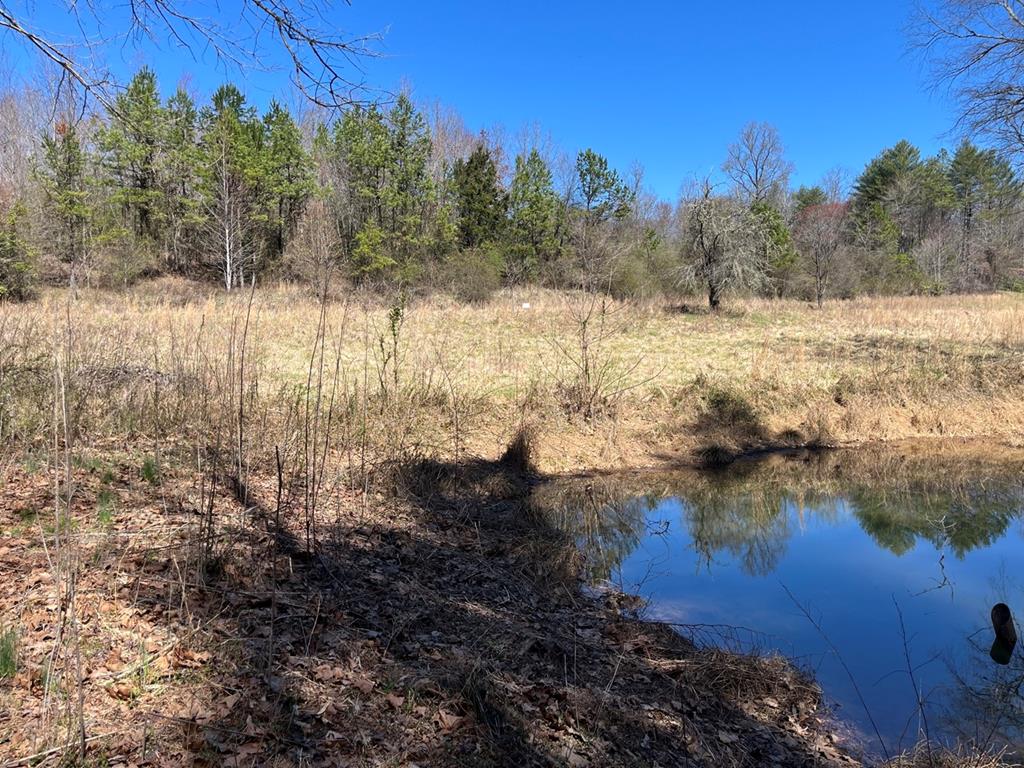 Lot 2 Holly Point Dr Property Photo