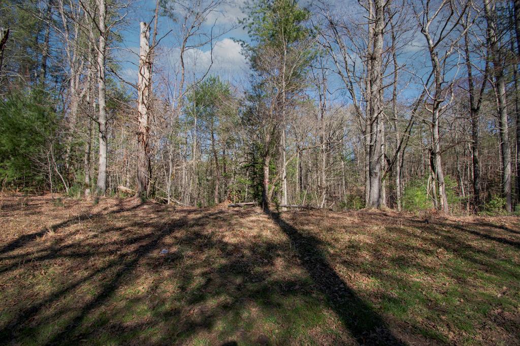 Daniels Owenby Real Estate Listings Main Image