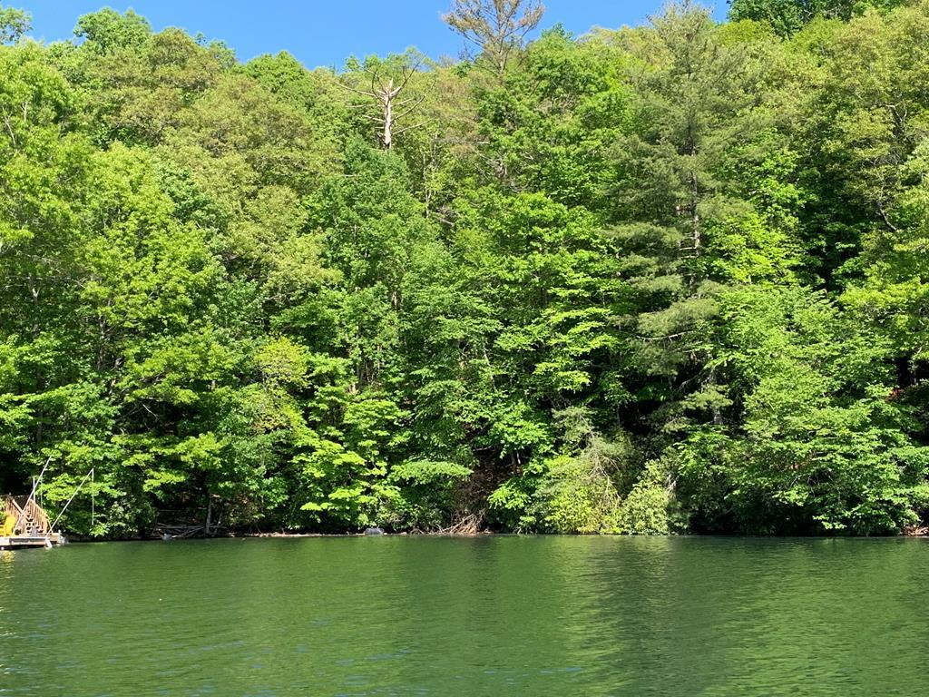 Lot# 18 Lakeshore Drive Property Photo