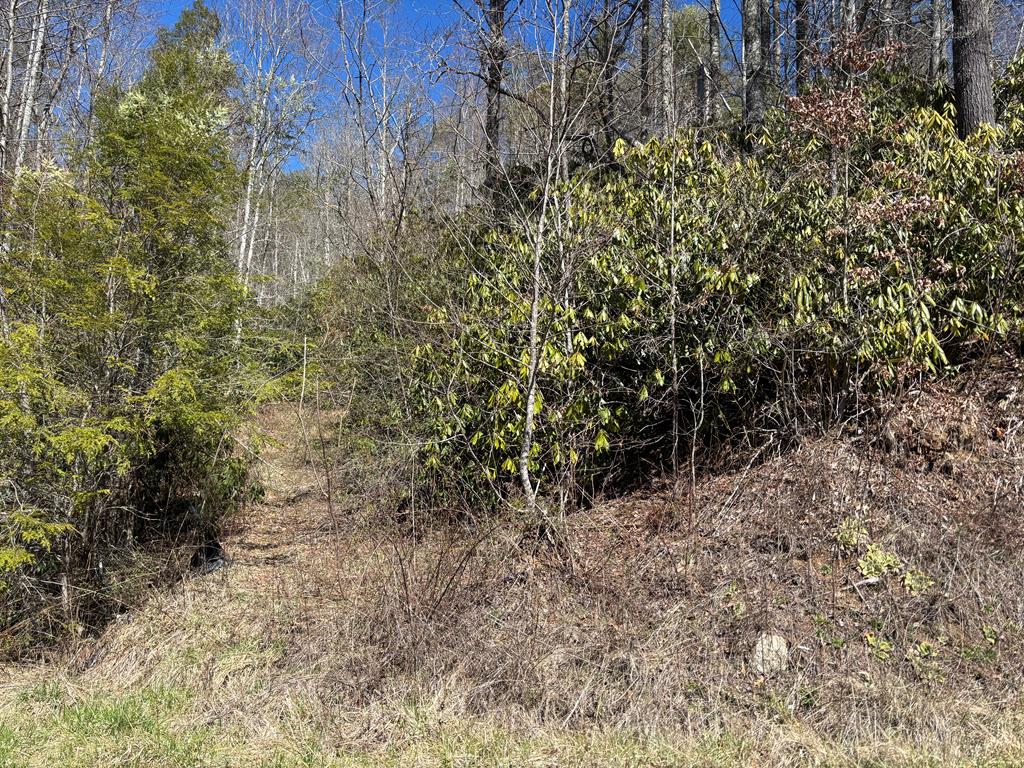 17 Acres Partridge Creek Road Property Photo