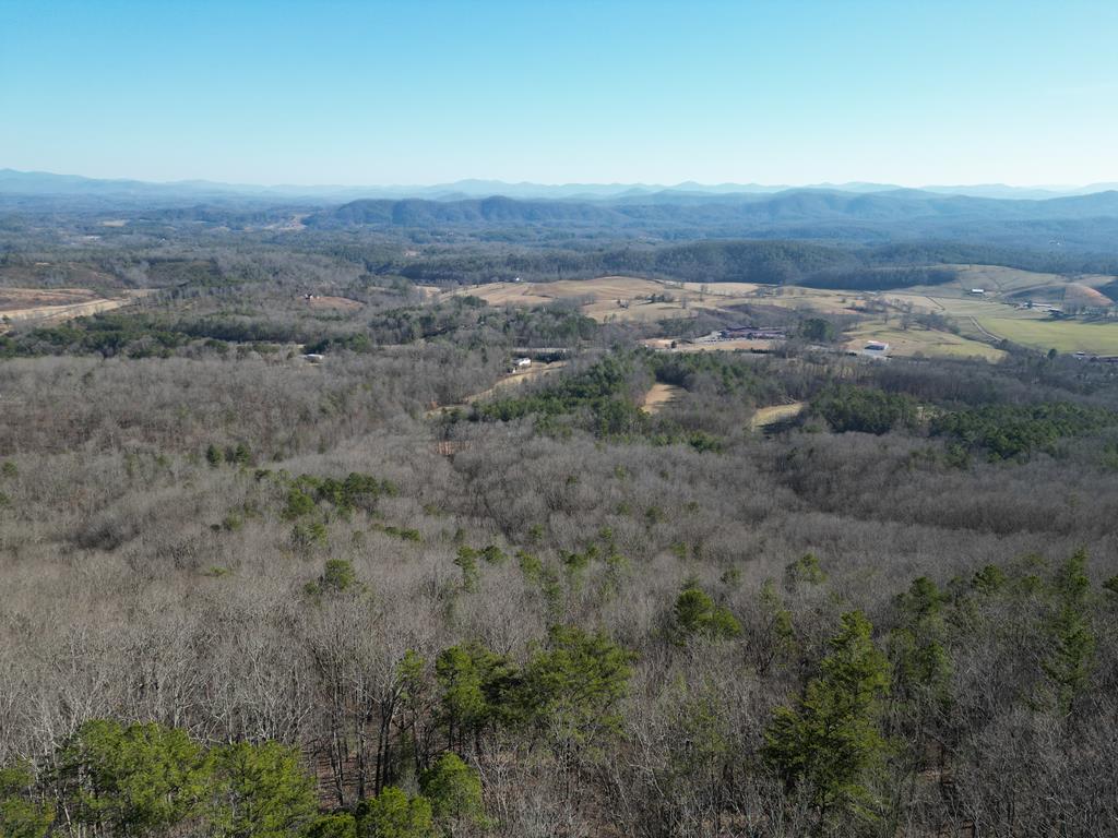 20.05 Ac Treehouse Trail Property Photo