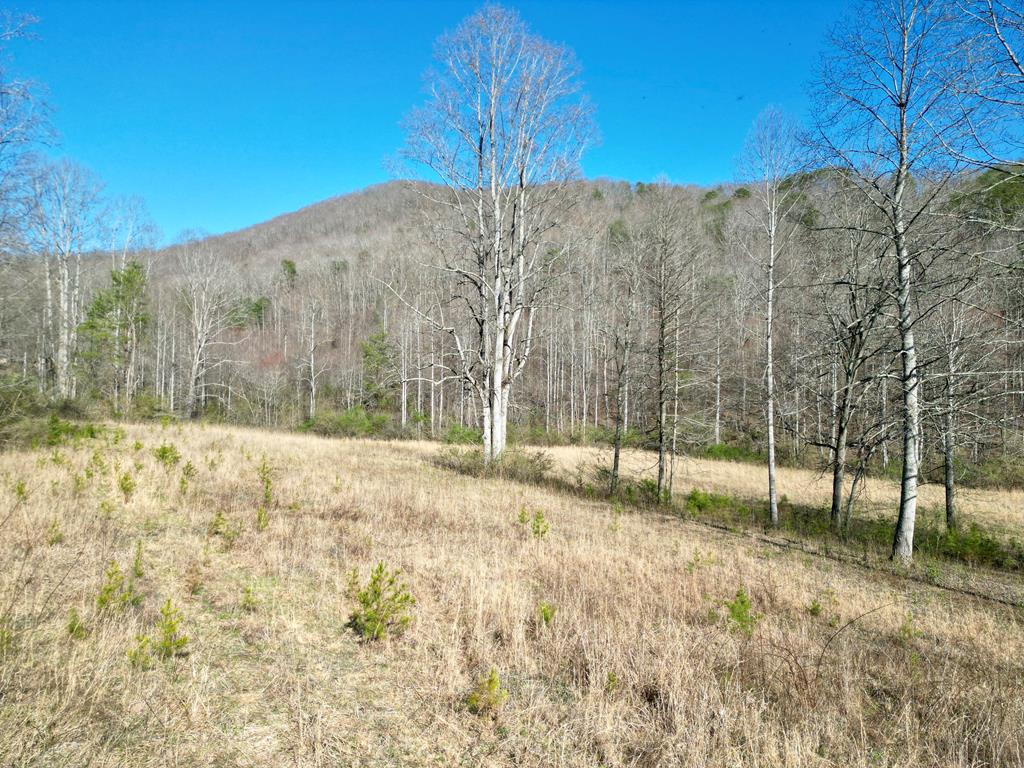 10 Acres Wolf Mountain Rd. Property Photo