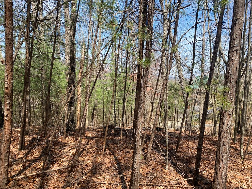 0 Birds Eye View Property Photo