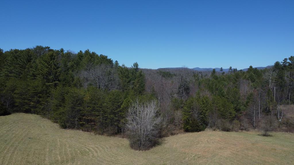 463 Hiwassee Dam Access Road Property Photo