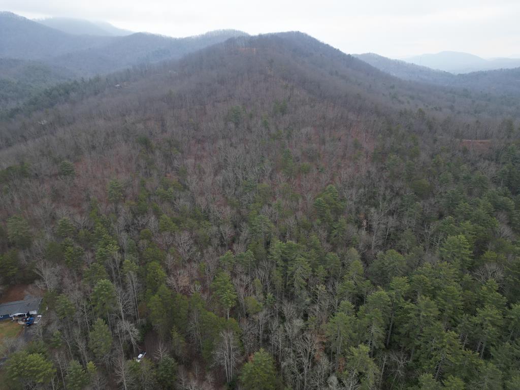 Tbd Dillard Road Property Photo