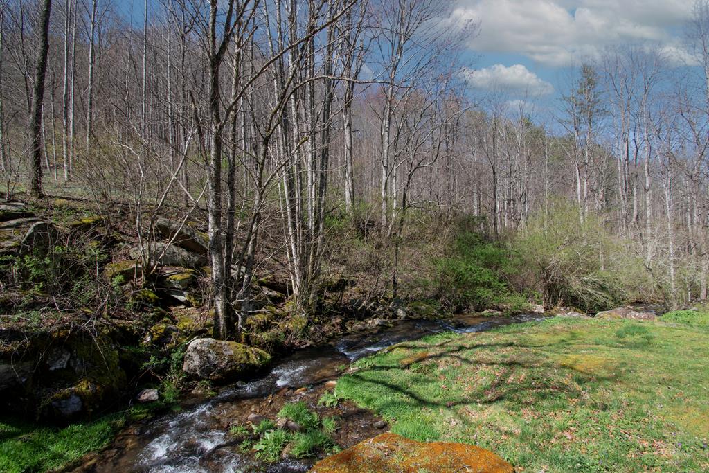 1112 Beech Creek Property Photo