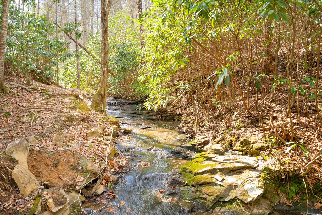 325 Trickling Branch Way Property Photo