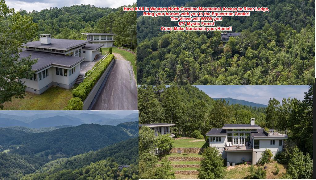 877 Mystic Forest Property Photo