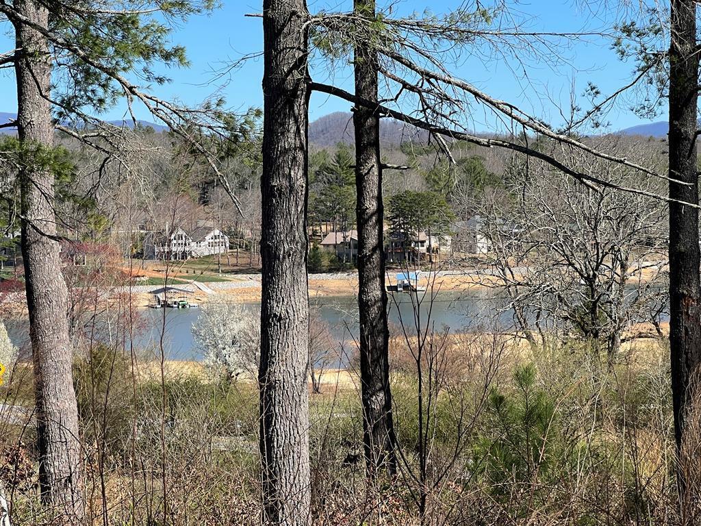 Lot 173 Highland Park Property Photo 1