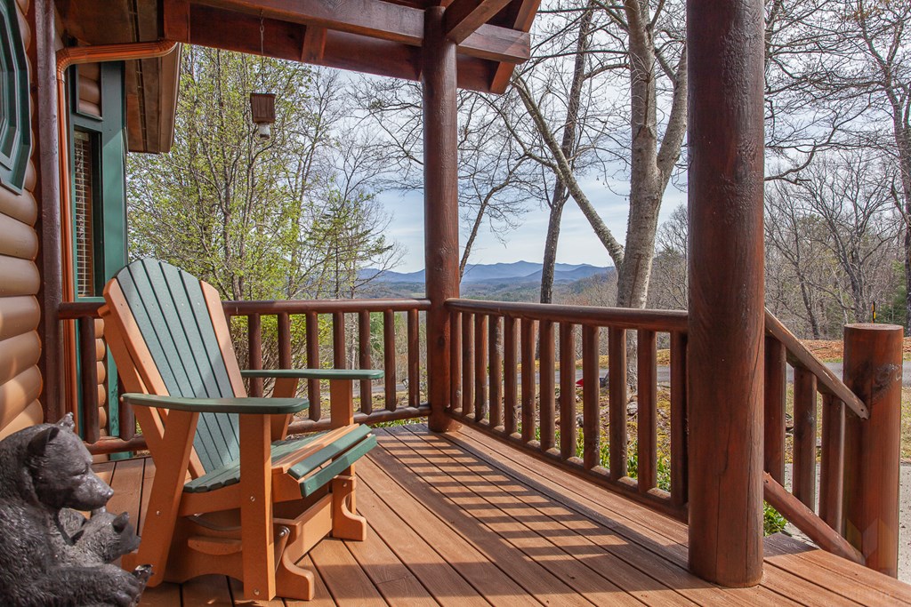 594 Brasstown View Road Property Photo 18