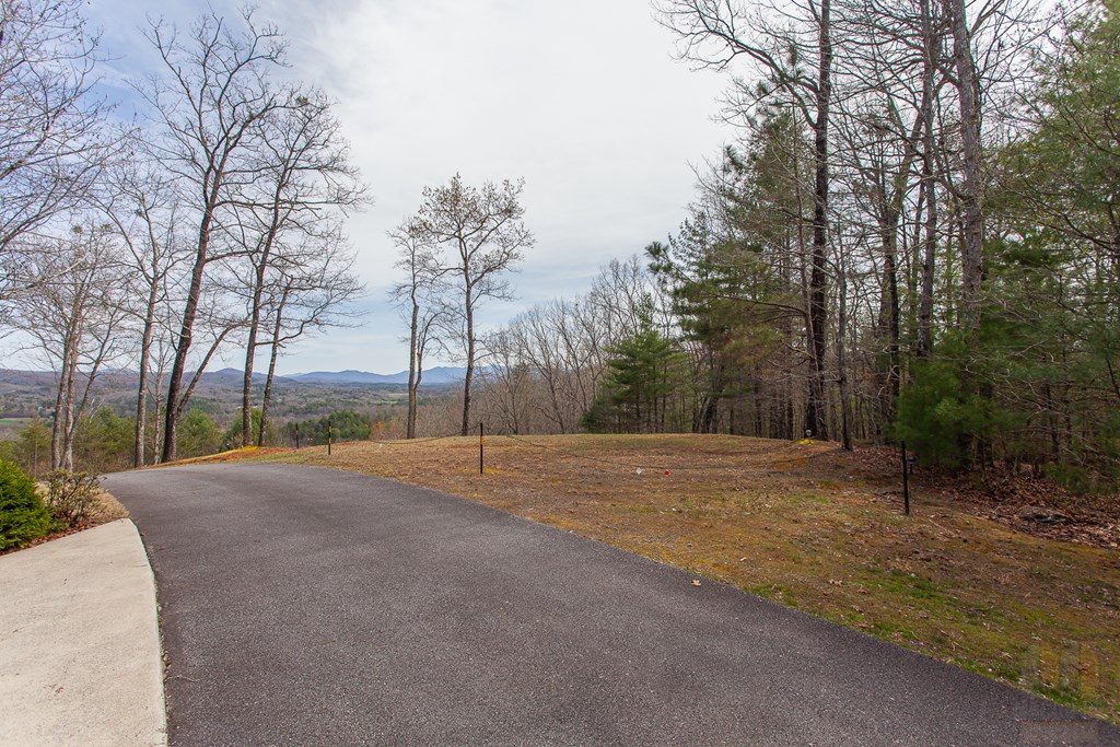 594 Brasstown View Road Property Photo 90