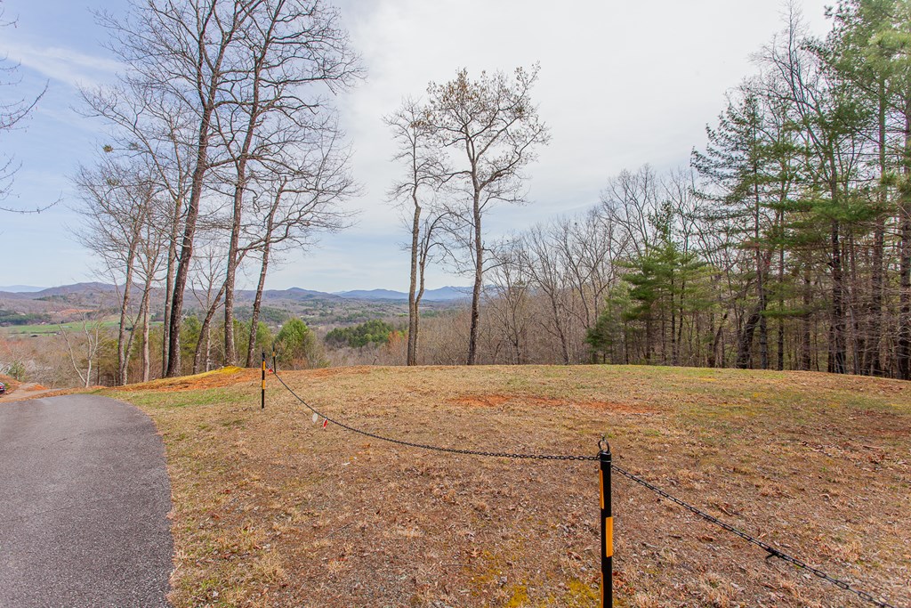 594 Brasstown View Road Property Photo 91