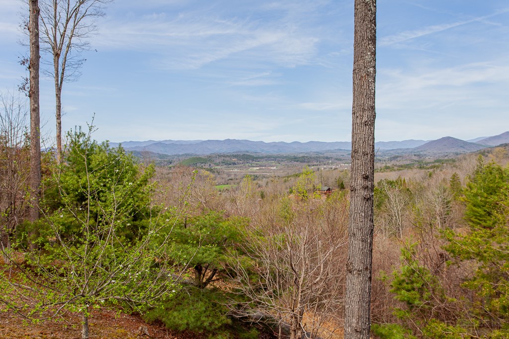 594 Brasstown View Road Property Photo 92