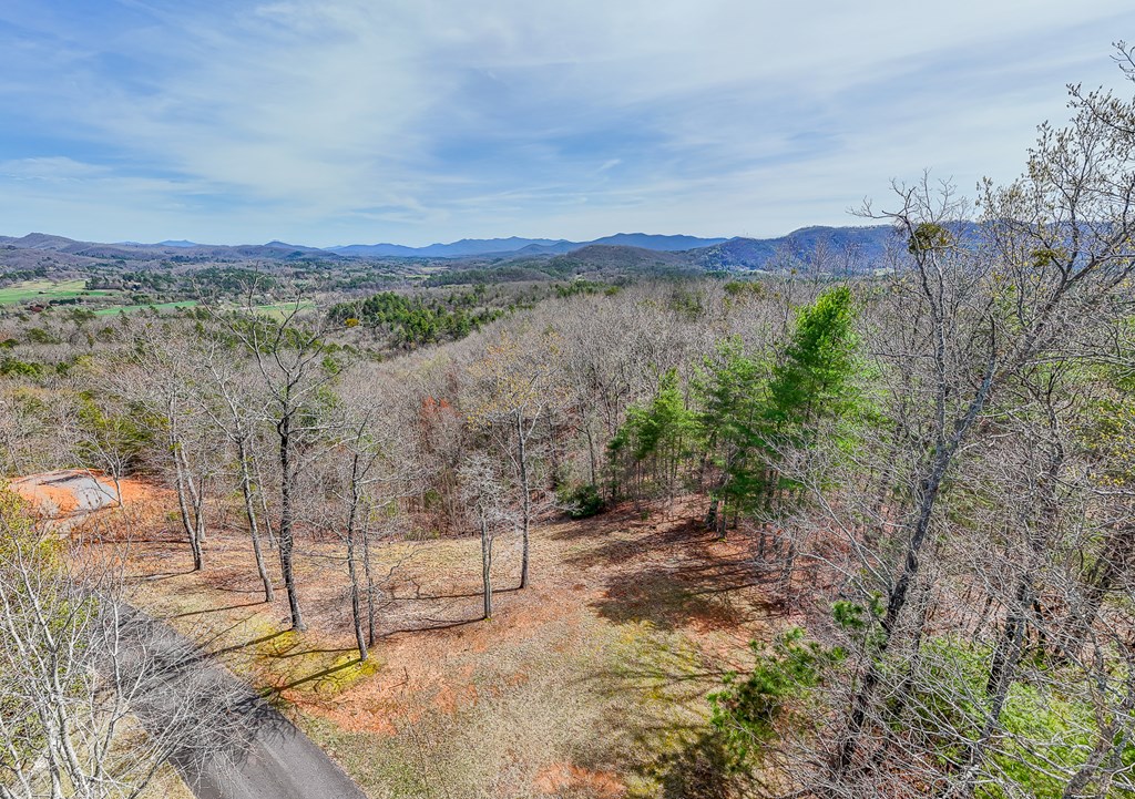 594 Brasstown View Road Property Photo 93
