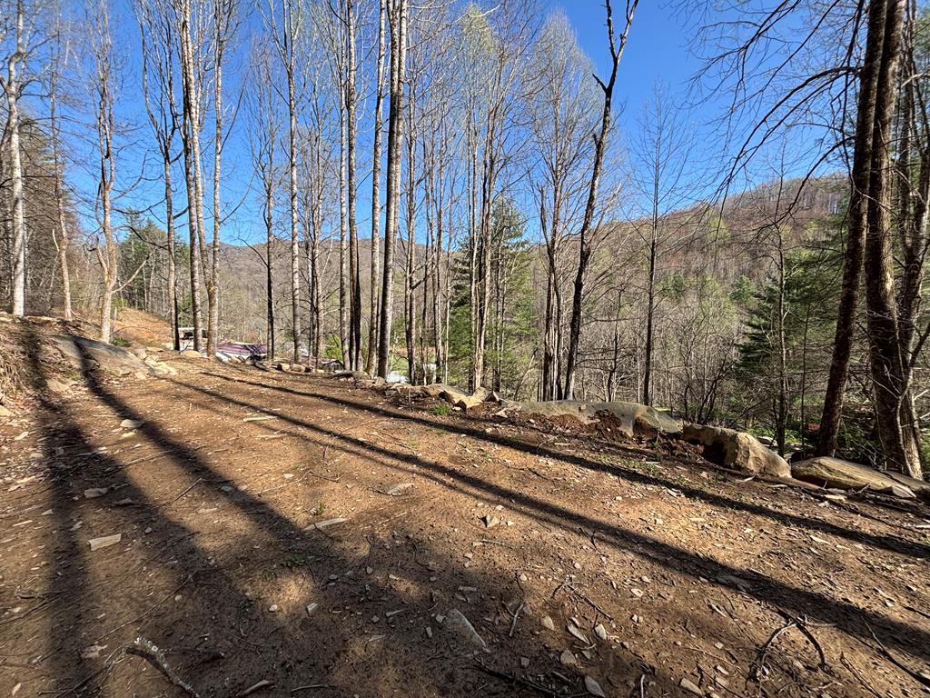 5.06 Ac Otter Creek Road Property Photo