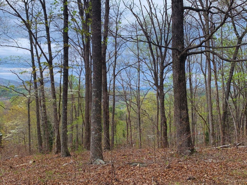 Lot 65 Timberline Drive Property Photo
