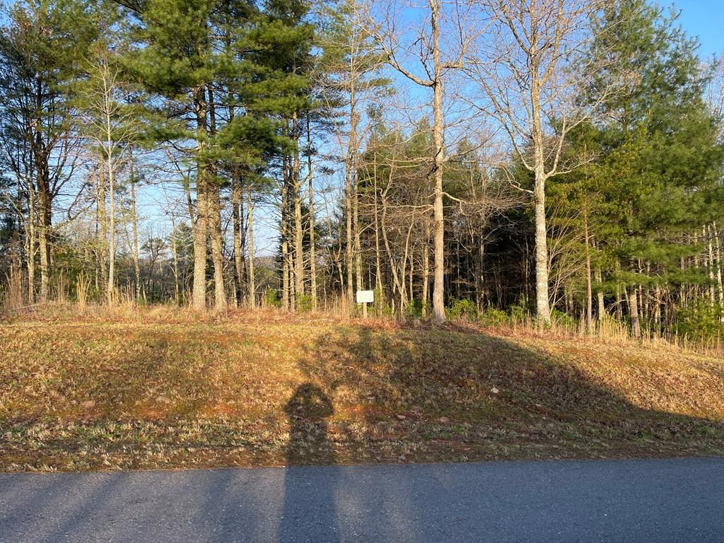00 River Mountain Road Property Photo