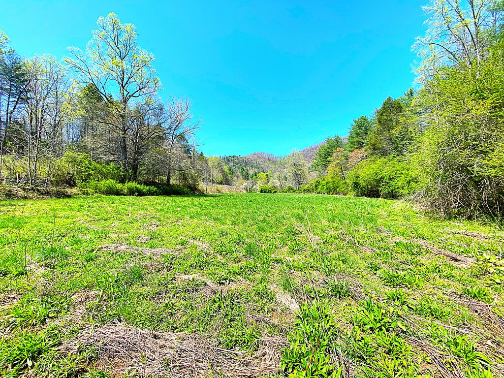 208 O'dell Loop Property Photo